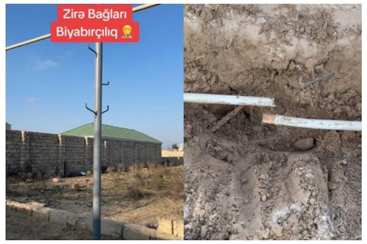 Zirə bağlarında narazılıq: Suyu internetə “dəyişdilər” — VİDEO