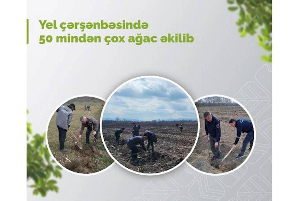 Yel çərşənbəsində 50 mindən çox ağac əkilib