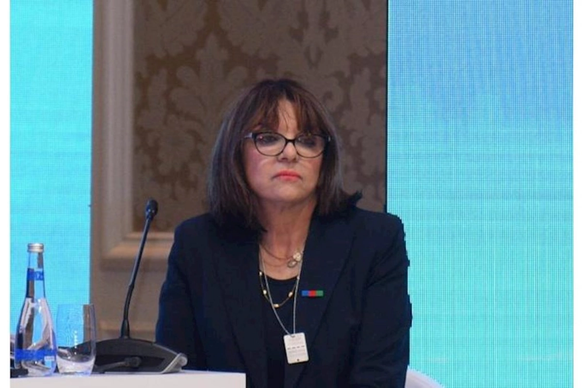 Ölkəmdə Azərbaycana qarşı toksik lobbiçilik var — Fransalı senator