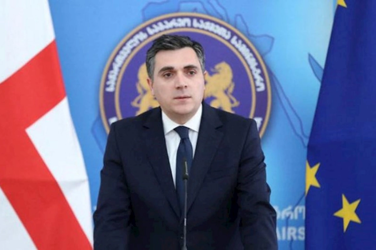 Gürcüstanın xarici işlər naziri Azərbaycana səfər edəcək