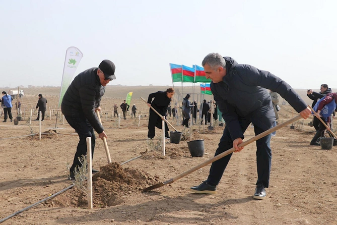 Ekologiya və Təbii Sərvətlər Nazirliyi Müşfiqabadda ağacəkmə aksiyası keçirib Ekologiya və Təbii Sərvətlər Nazirliyi Müşfiqabadda ağacəkmə aksiyası keçirib