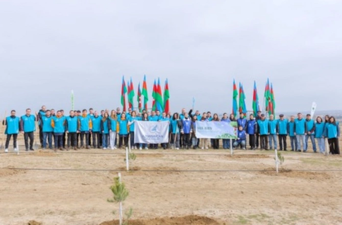 AZAL əməkdaşları “Yaşıl dünya naminə həmrəylik ili” çərçivəsində 600-dən çox ağac əkiblər — VİDEO/FOTO