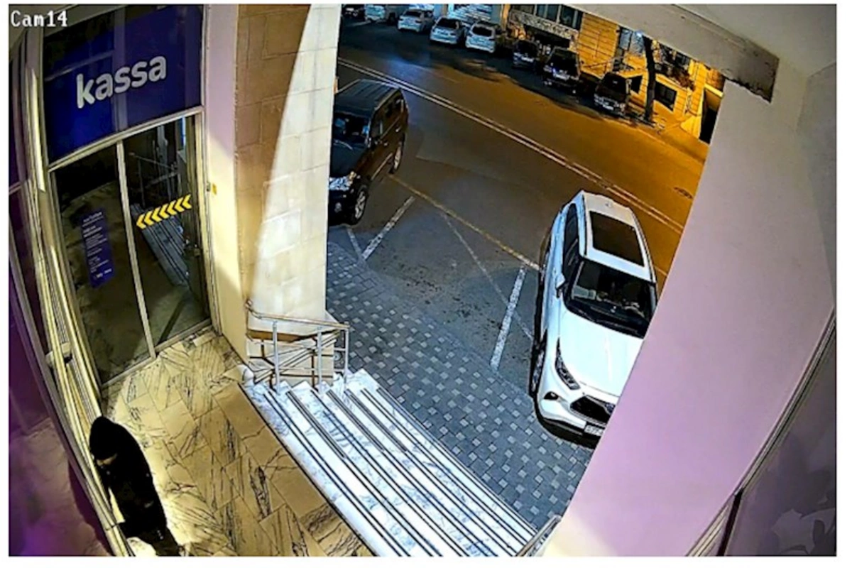 Bakıda bankdan oğurluq edilməsinin qarşısı alındı — VİDEO
