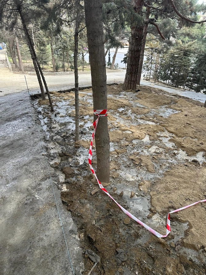 Yasamalda yaşıllıq belə məhv olunur — FOTO/VİDEO Yasamalda yaşıllıq belə məhv olunur — FOTO/VİDEO