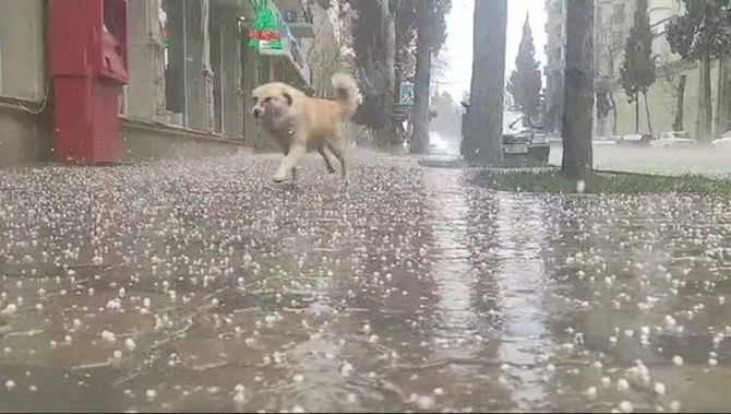 Gəncəyə dolu düşüb — FOTOLAR