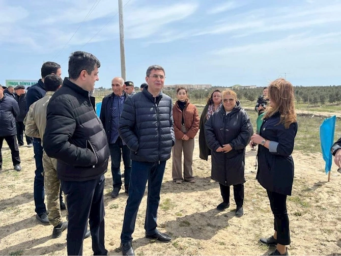 Xəzər rayonunda Yaşıl dünya naminə həmrəylik ili çərçivəsində ağacəkmə aksiyası keçirilib — FOTOLAR
