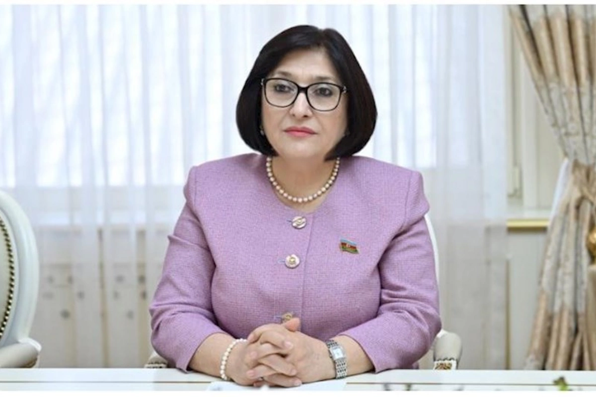Sahibə Qafarova: Bir sıra təşkilatlarda islamofobiya, azərbaycanofobiya hökm sürür