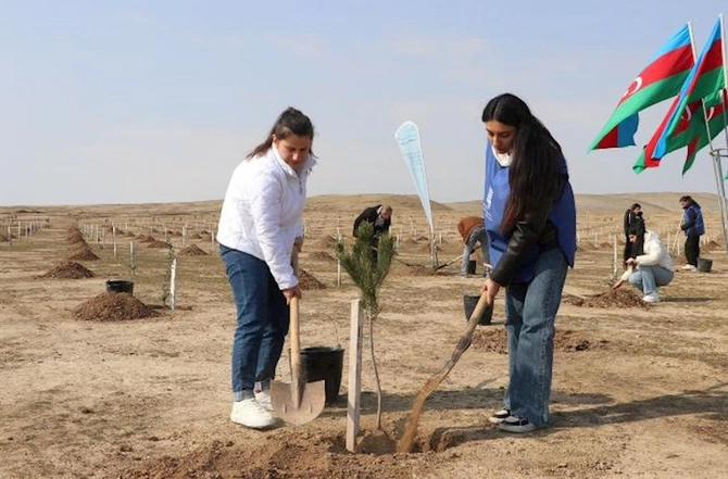 DOST İnklüziv İnkişaf və Yaradıcılıq Mərkəzi ETSN-nin ağacəkmə aksiyasına qoşuldu — FOTOLAR