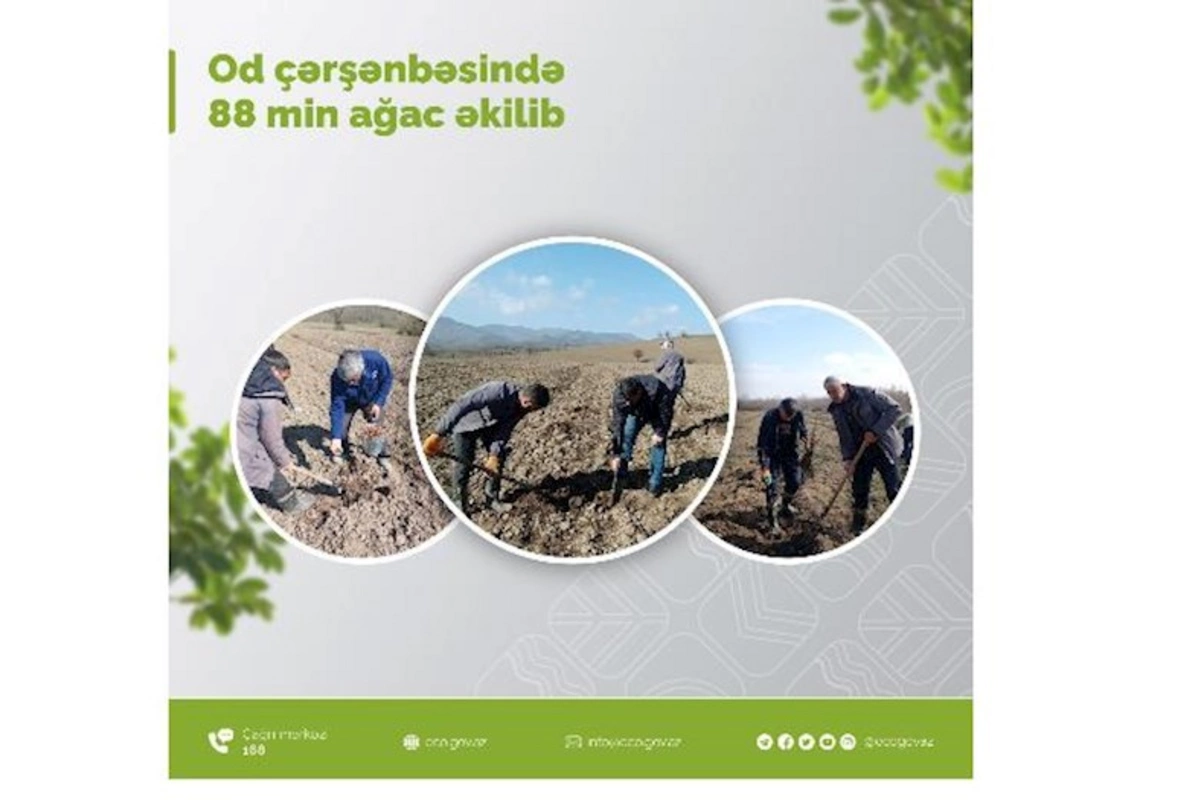 Od çərşənbəsində 88 min ağac əkilib