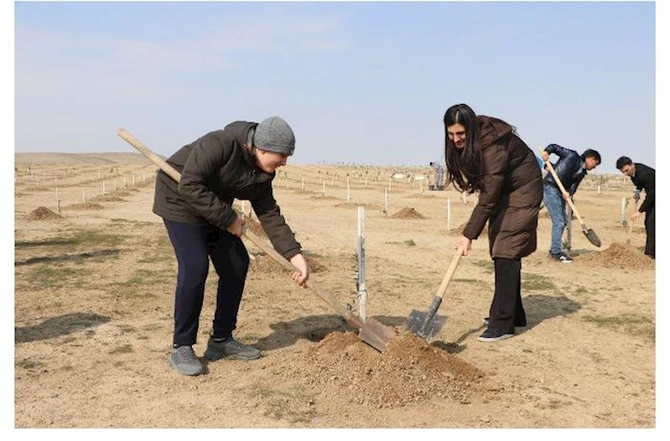 DOST İnklüziv İnkişaf və Yaradıcılıq Mərkəzi ETSN-nin ağacəkmə aksiyasına qoşuldu — FOTOLAR