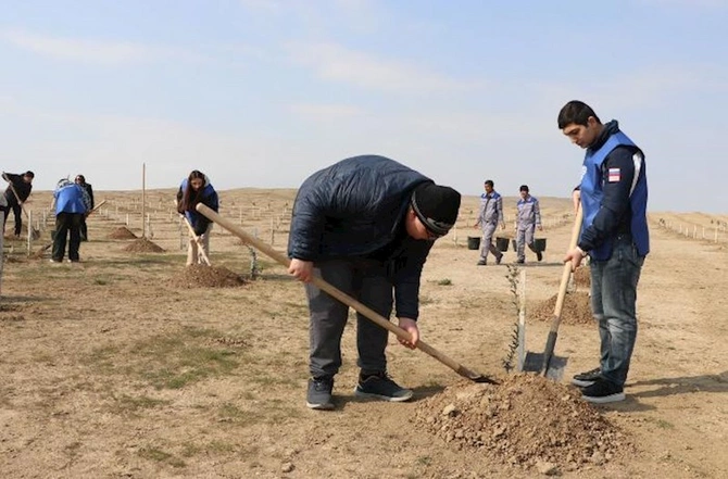 DOST İnklüziv İnkişaf və Yaradıcılıq Mərkəzi ETSN-nin ağacəkmə aksiyasına qoşuldu — FOTOLAR