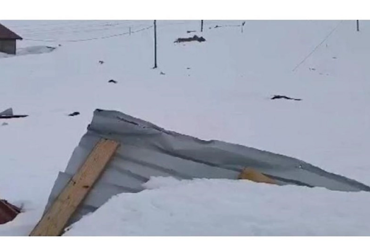 Qar uçqunu: Evlərə xeyli ziyan dəydi