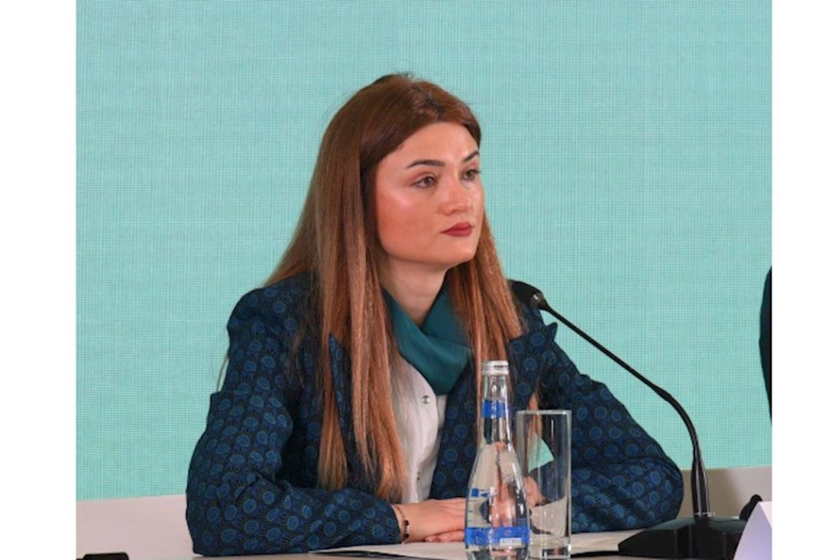COP29-la bağlı yeni vebsayt istifadəyə veriləcək