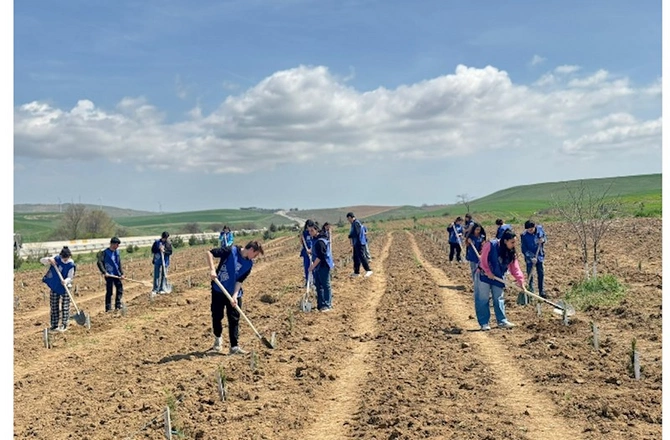 “Yaşıl dünya naminə həmrəylik ili” çərçivəsində könüllülər ağac əkdi — FOTOLAR