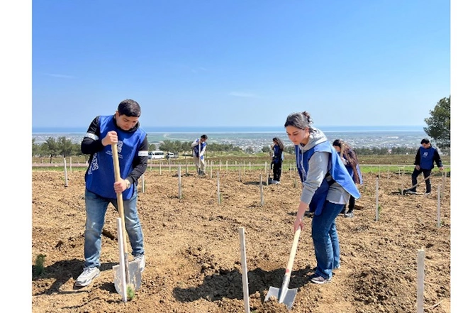 “Yaşıl dünya naminə həmrəylik ili” çərçivəsində könüllülər ağac əkdi — FOTOLAR