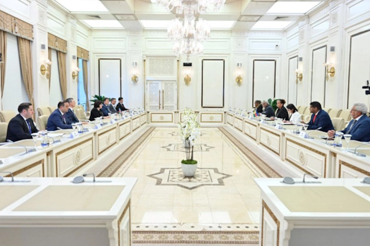 Fransa kolonializmi Cənubi Qafqazda davam etdirmək niyyətindədir — Spiker
