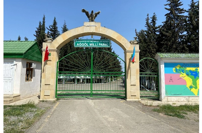 Laləli çəmənlik görmək istəyənlər, tələsin! — FOTOLAR