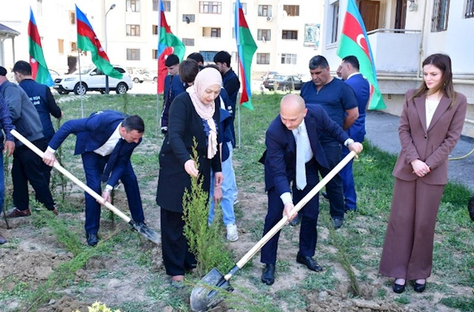 Abşeronda ağacəkmə və təmizlik aksiyaları keçirildi — FOTOLAR Abşeronda ağacəkmə və təmizlik aksiyaları keçirildi — FOTOLAR