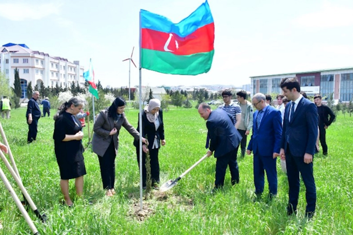 Abşeronda ağacəkmə və təmizlik aksiyaları keçirildi — FOTOLAR