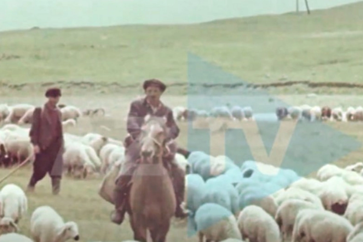 Batabat yaylağının ecazkar GÖRÜNTÜLƏRİ