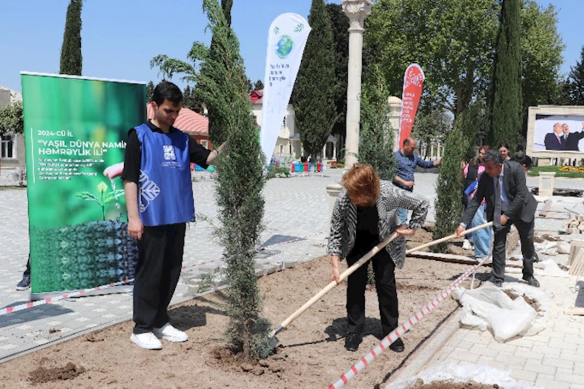 Samuxda ağacəkmə və təmizlik aksiyası keçirildi — FOTOLAR