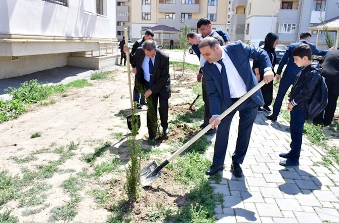 Abşeronda ağacəkmə və təmizlik aksiyaları keçirildi — FOTOLAR Abşeronda ağacəkmə və təmizlik aksiyaları keçirildi — FOTOLAR
