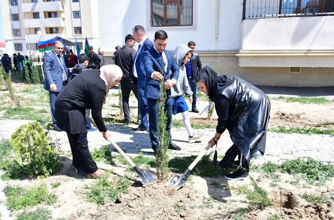 Abşeronda ağacəkmə və təmizlik aksiyaları keçirildi — FOTOLAR Abşeronda ağacəkmə və təmizlik aksiyaları keçirildi — FOTOLAR