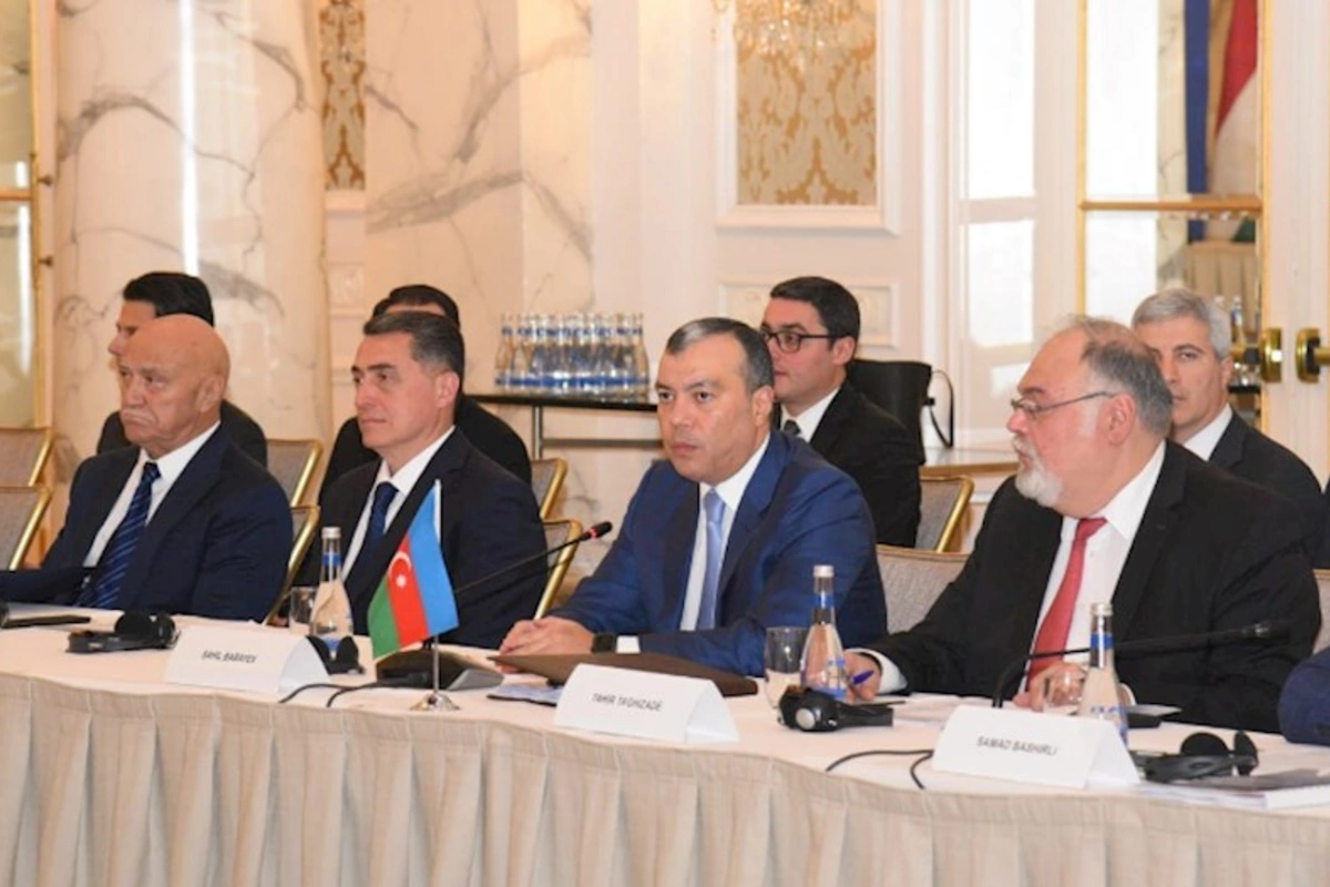 Macarıstan şirkətləri Azərbaycanda dərman istehsal edəcək — Nazir