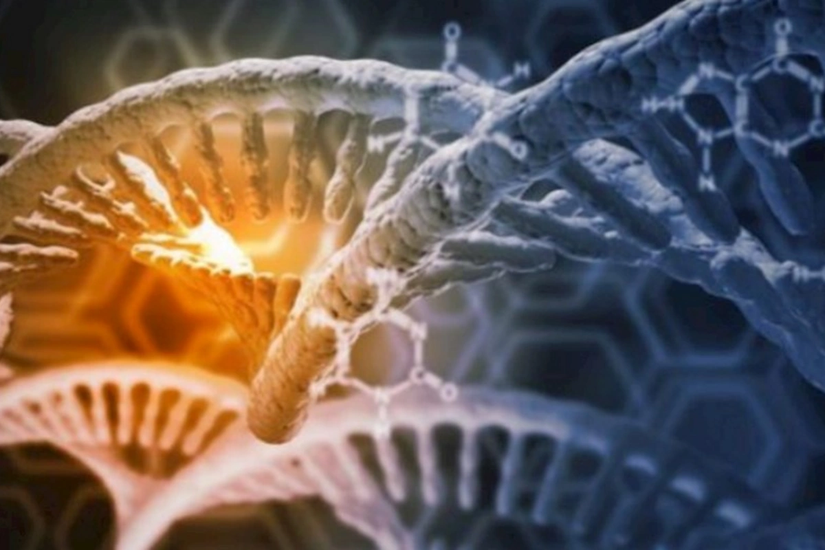 Alimlər Parkinson xəstəliyinin genetik səbəbini tapıblar