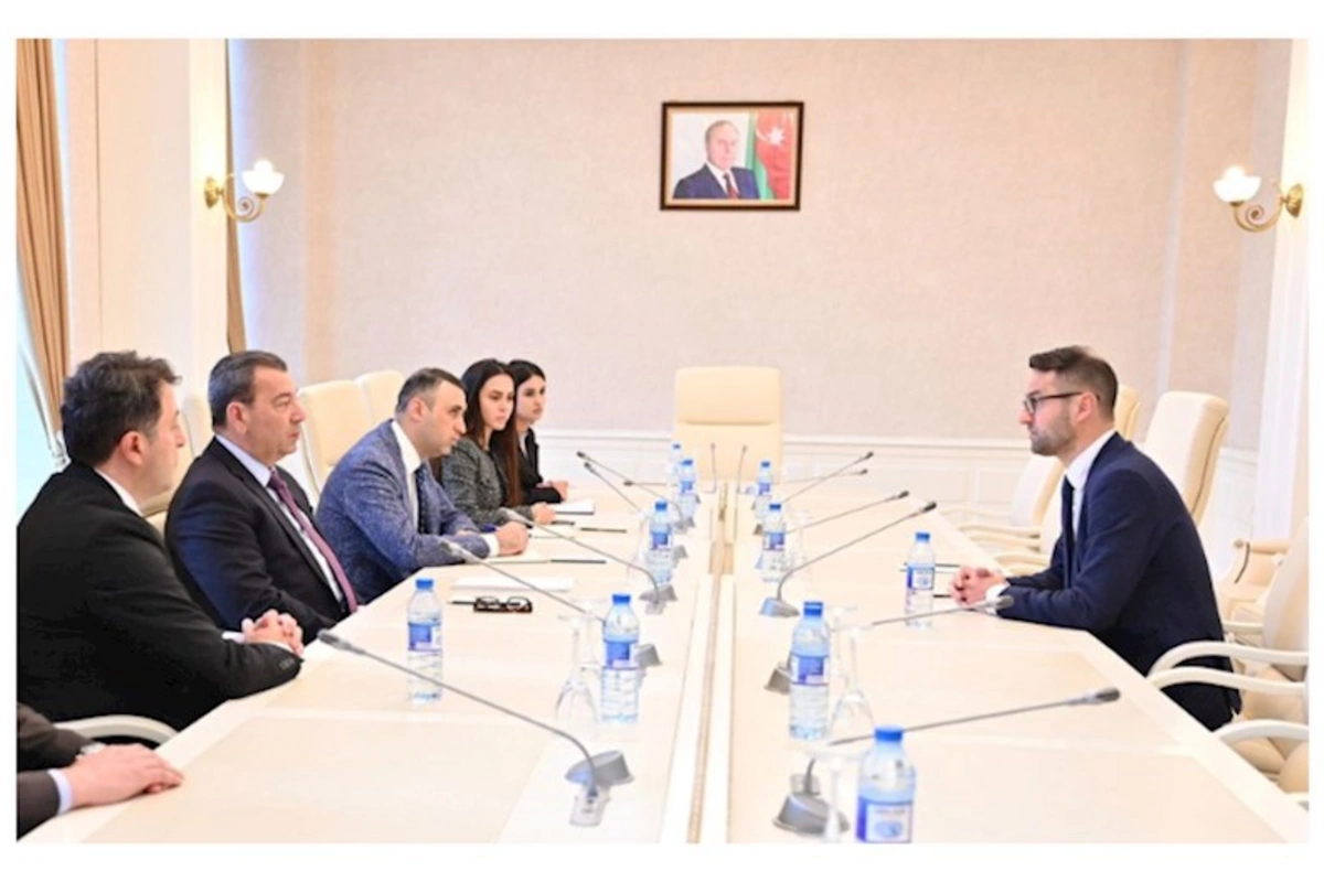 Avropa Parlamentinin komitə üzvü qurumun Azərbaycana qarşı qərəzli mövqeyini pisləyib