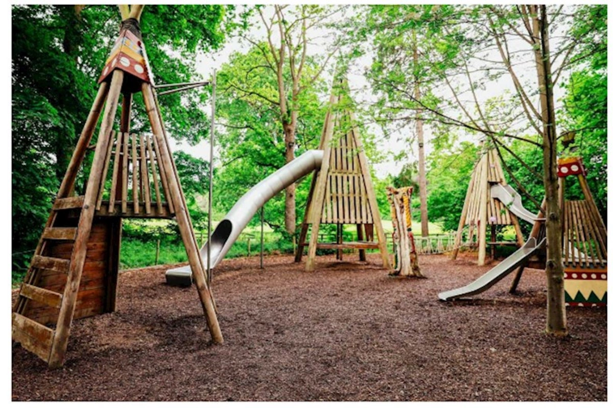 Bakıda yeni park salınacaq