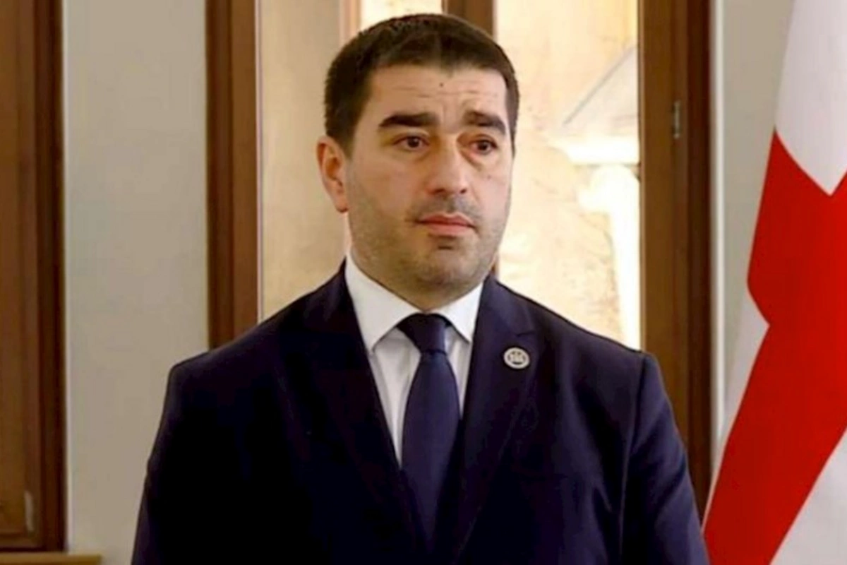 Gürcüstanın spikeri: Xarici donorlar radikal partiyaların məxfi maliyyələşməsini artırıblar