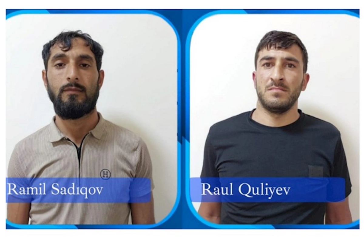 Cəlilabadda mal-qara oğurlayan qohumlar saxlanıldı