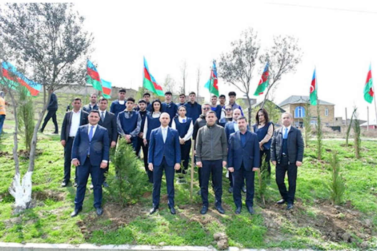 Abşeronda ağacəkmə və təmizlik aksiyası keçirildi — FOTOLAR