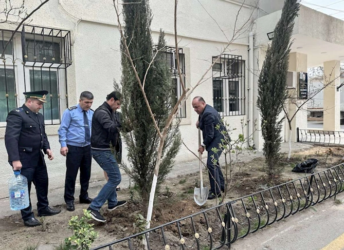 “Yaşıl dünya naminə həmrəylik ili” çərçivəsində növbəti ağacəkmə aksiyası keçirilib — FOTOLAR