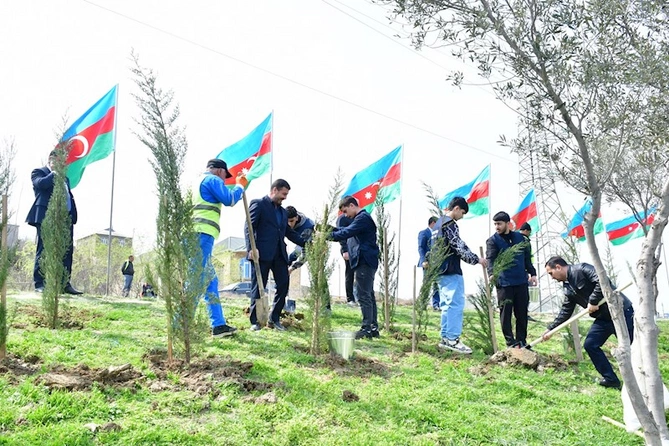 Abşeronda ağacəkmə və təmizlik aksiyası keçirildi — FOTOLAR