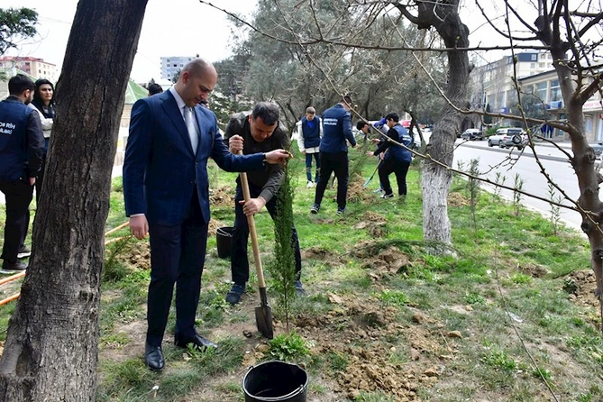Abşeronda ağacəkmə və təmizlik aksiyası keçirildi — FOTOLAR