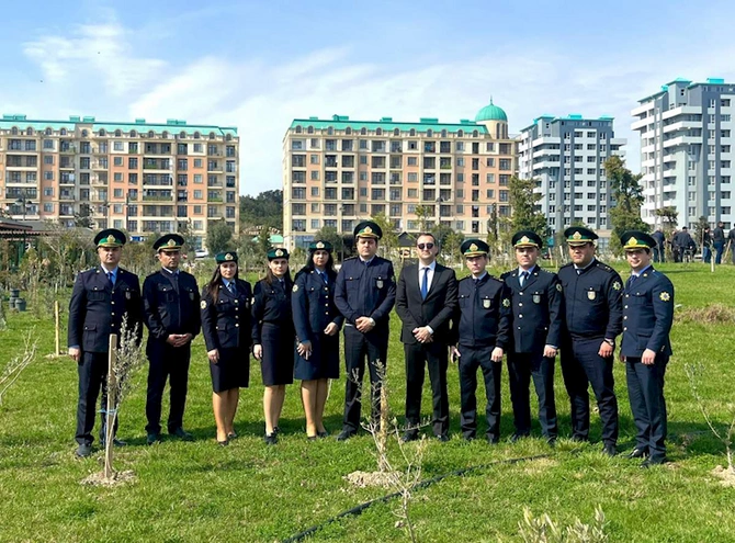 “Yaşıl dünya naminə həmrəylik ili” çərçivəsində növbəti ağacəkmə aksiyası keçirilib — FOTOLAR