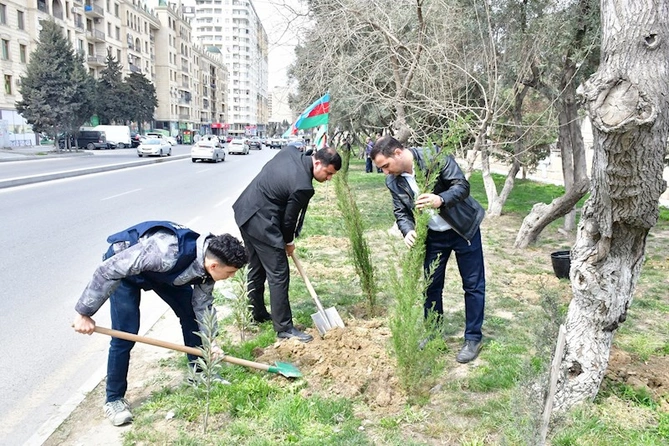 Abşeronda ağacəkmə və təmizlik aksiyası keçirildi — FOTOLAR