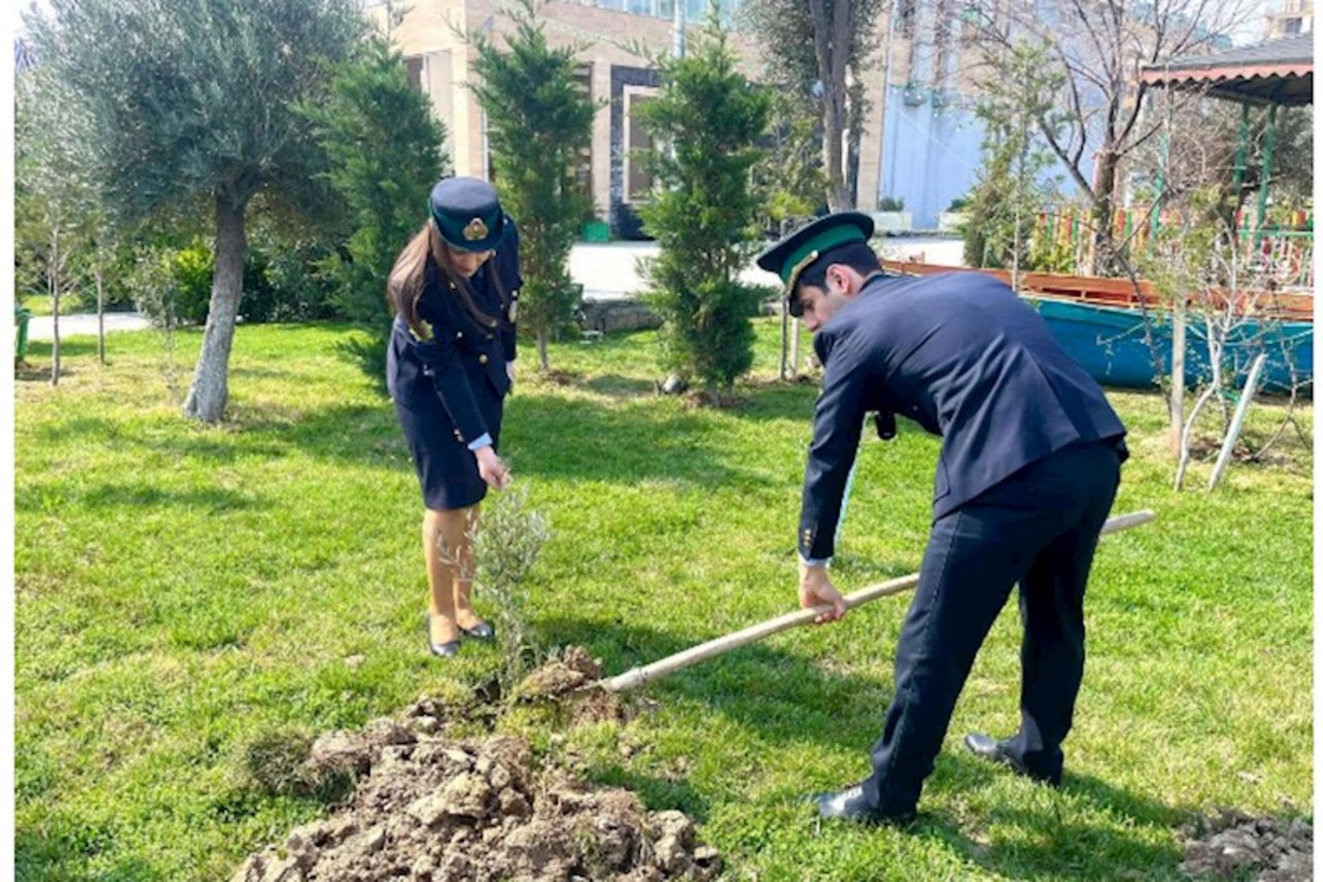 “Yaşıl dünya naminə həmrəylik ili” çərçivəsində növbəti ağacəkmə aksiyası keçirilib — FOTOLAR