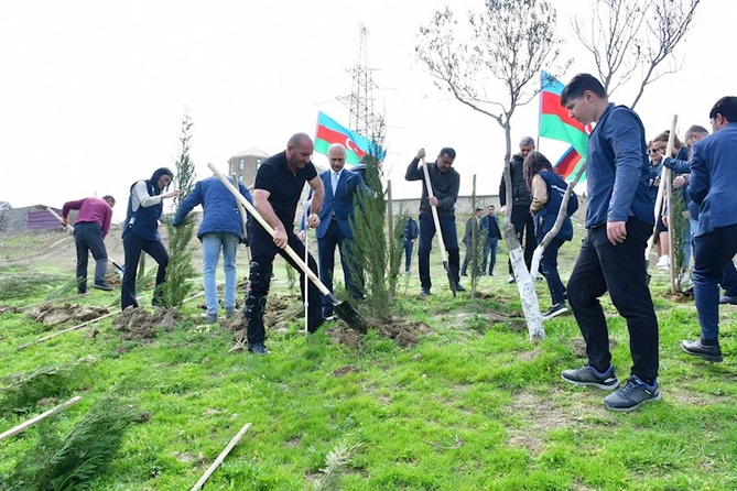 Abşeronda ağacəkmə və təmizlik aksiyası keçirildi — FOTOLAR