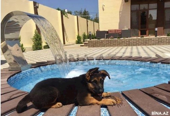 Akif Qurbanovun milyonluq villası aşkarlandı — FOTOLAR Akif Qurbanovun milyonluq villası aşkarlandı — FOTOLAR