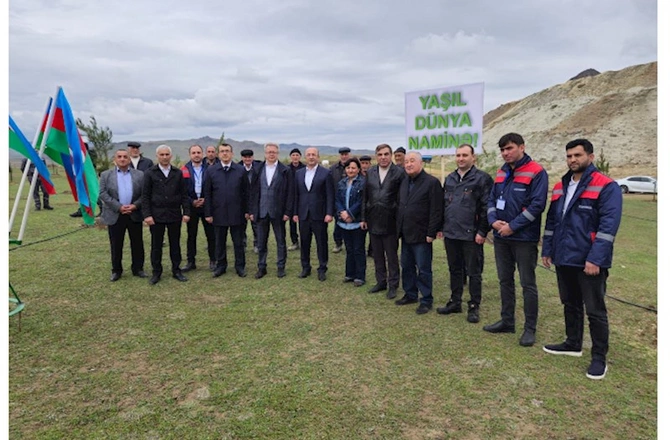 İstismarı yekunlaşan ərazilərdə ağacəkmə aksiyası keçirildi — FOTOLAR