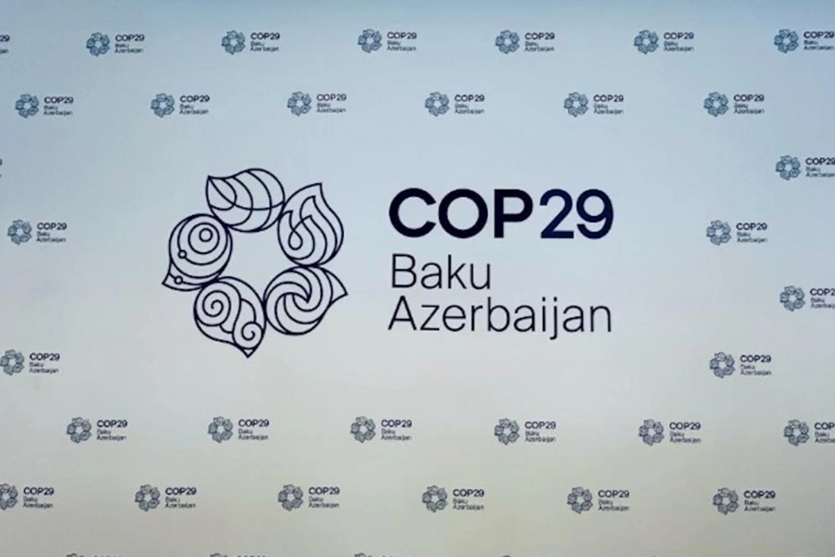 COP29 prosesində BMT-də xüsusi işçi qrup yaradıldı