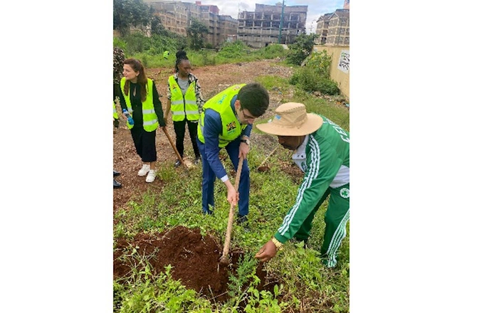 QHT-lər ilk dəfə Afrikada ağacəkmə aksiyasında — FOTOLAR QHT-lər ilk dəfə Afrikada ağacəkmə aksiyasında — FOTOLAR