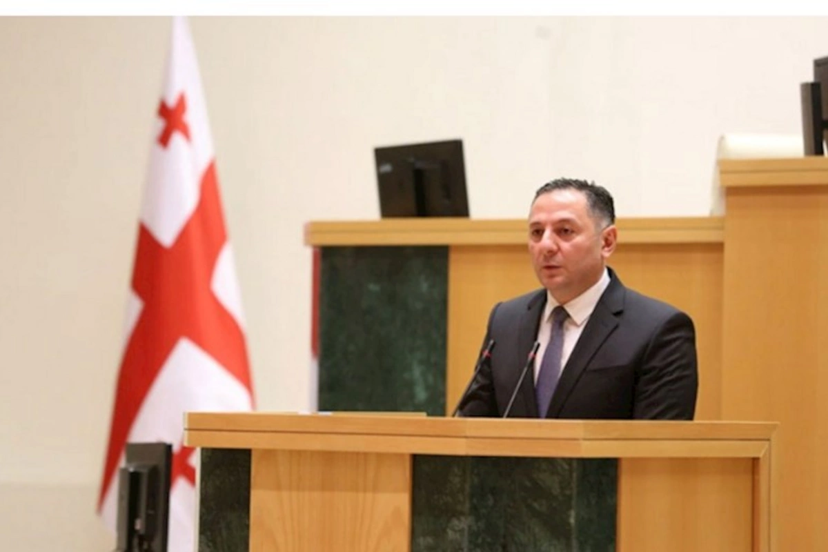 Gürcüstanın daxili işlər naziri nümayişçilərə xəbərdarlıq edib