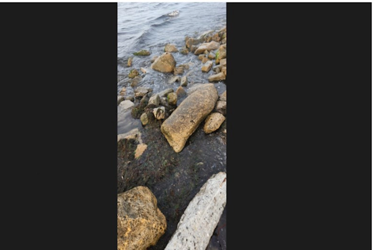 Nardaranda Daçnik çimərliyinin çirklənməsi ilə bağlı yayılan görüntülərə aydınlıq gətirilib — FOTOLAR