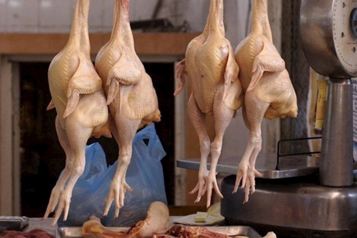 Kənd toyuğunun qiyməti QALXDI
