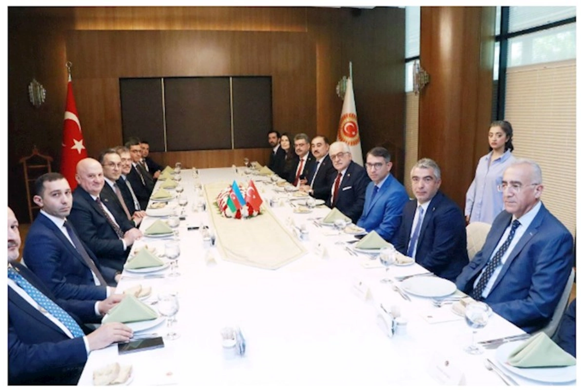 Dövlət Komitəsinin nümayəndə heyəti TBMM-də olub — FOTOLAR