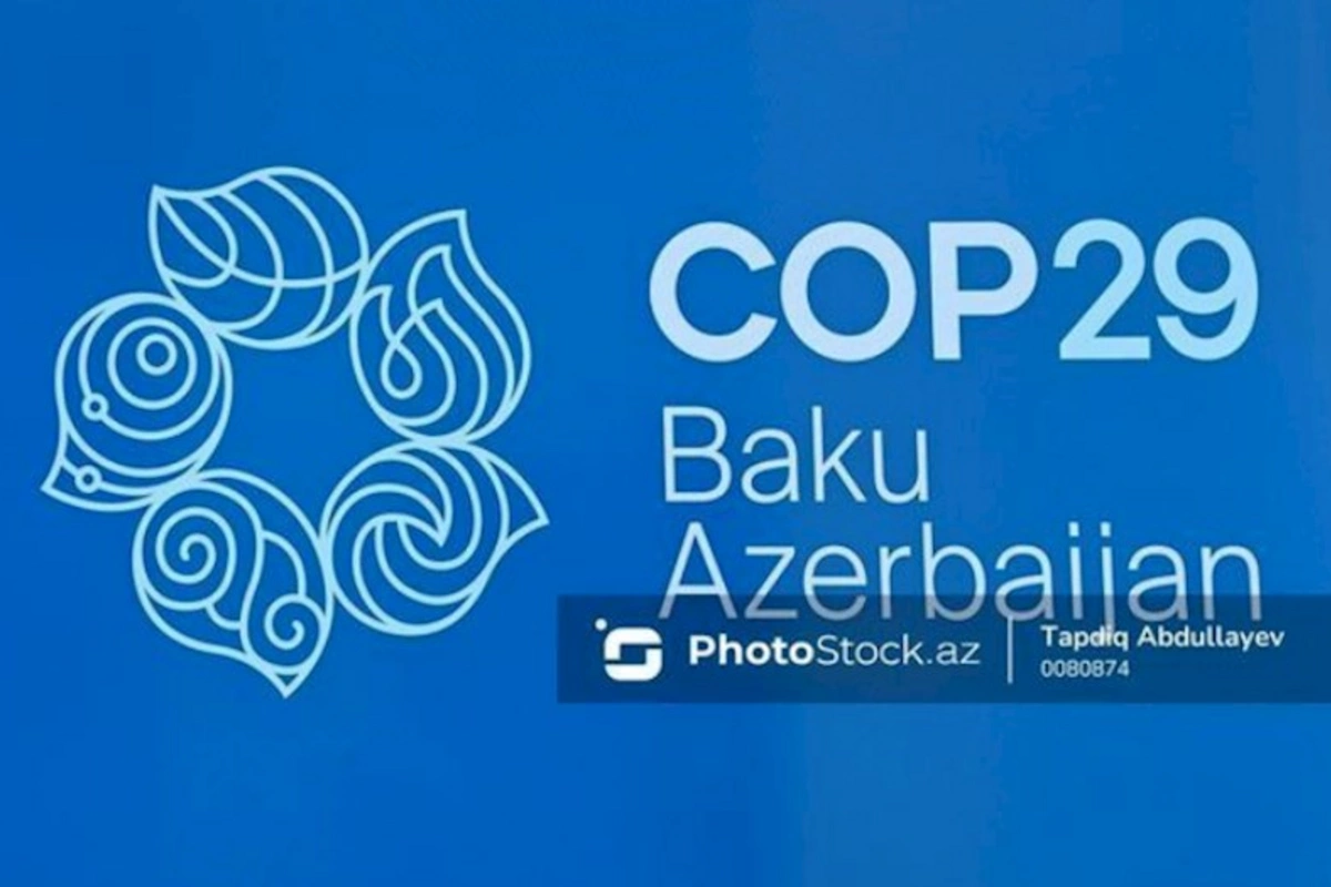 ADB-nin icraçı direktoru: “COP29 Azərbaycanla səmərəli əməkdaşlıq üçün bir fürsətdir”